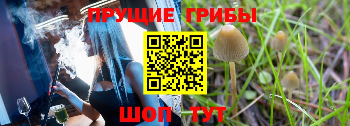 Псилоцибиновые грибы Magic Shrooms  Вход с VPN  Псилоцибиновые грибы Psilocybe  Узловая 