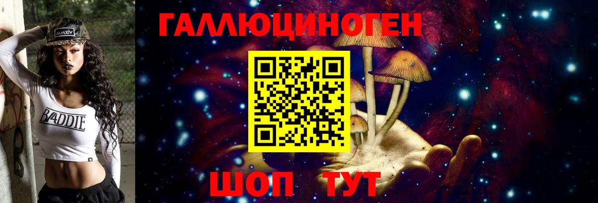 Псилоцибиновые грибы Cubensis Узловая